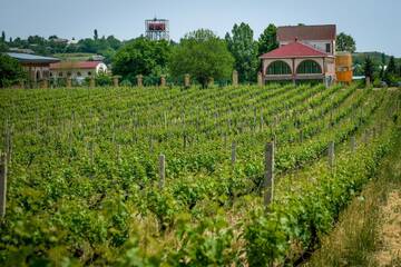 Фото Отель Chateau Monolit г. İkinci Yeniyol 3